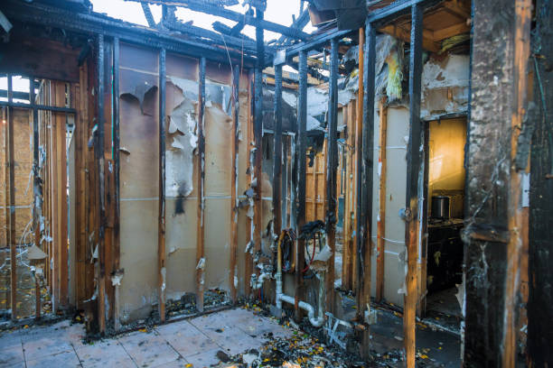 Professional Fire Damage Removal technician working in Rossville, TN